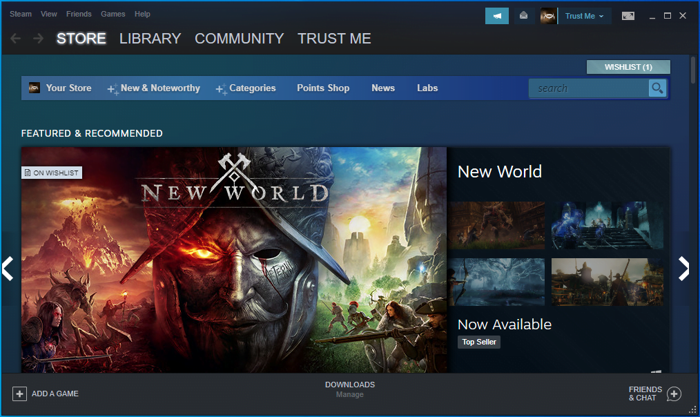 Run the Steam client.