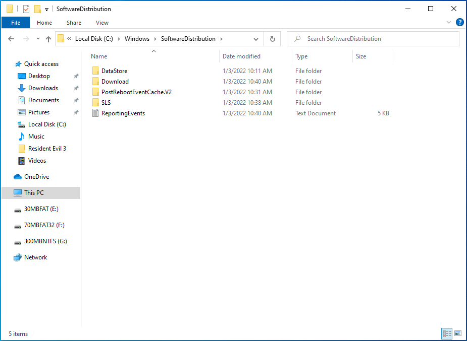 Open the “SoftwareDistribution” folder.