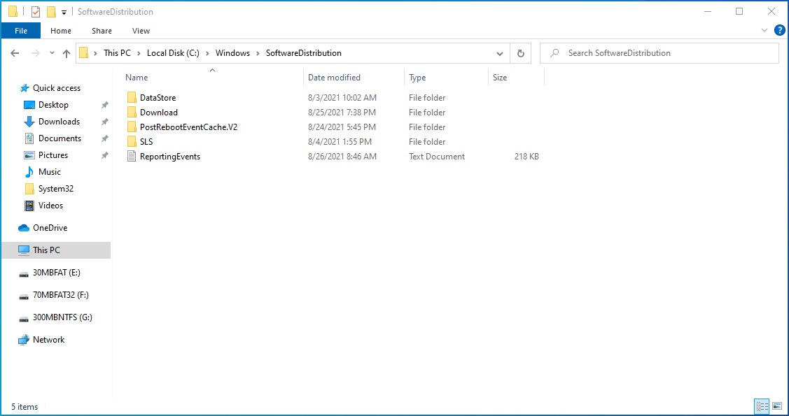 Open C:\Windows\SoftwareDistribution\ and press “OK”.